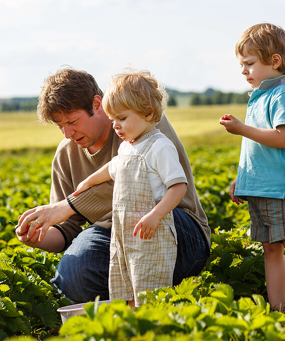 Pahal Agri India - Leading Agricultural Solutions Provider